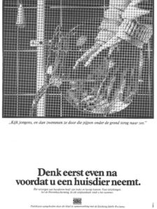 Huisdieren goudvis